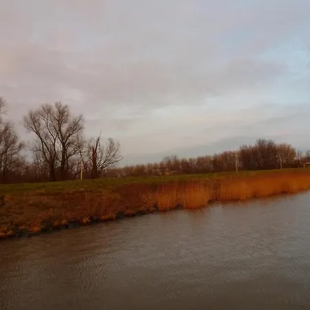 Bed In Boat ホテル