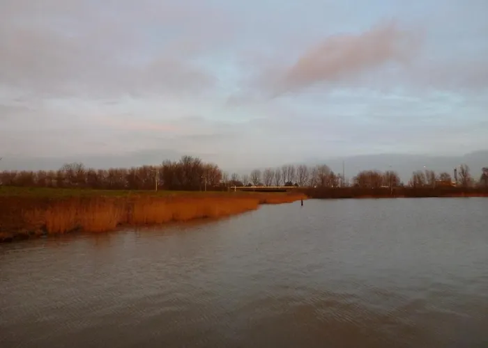 Bed In Boat Amsterdam